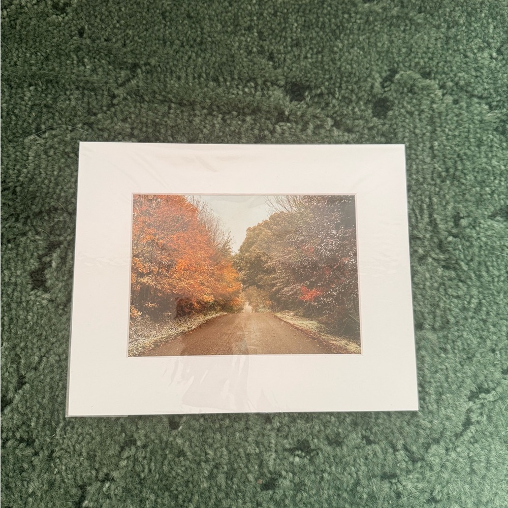 Scenic Autumn Road Art Print